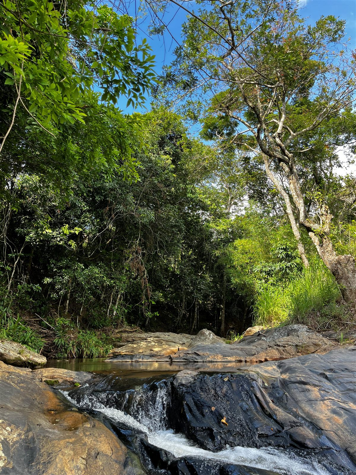 Trecho superior do curso d'água na Cachoeira do Moisés